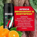 Axe afric company logo