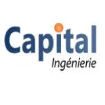 CAPITAL INGENIERIE ET DEVELOPPEMENT company logo