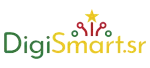 Digismart company logo