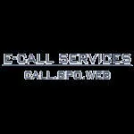 E-Call Services company logo
