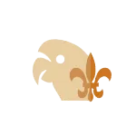 Focus Frame French company logo