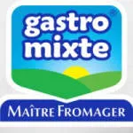 GASTROMIXTE company logo