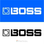IT BOSS company logo