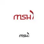 IT MSH company logo