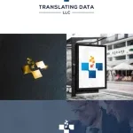 International Data Services company logo