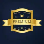 LAS Premium company logo