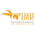 Pegase Expert company logo