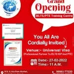 Universal visa company logo