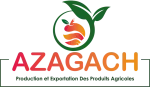 AZAGACH company logo