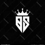 B&S ADVISOR company logo