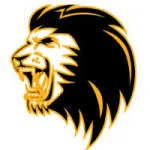 DIGILION AGENCY company logo