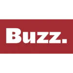 DIGITAL STORE BUZZ company logo