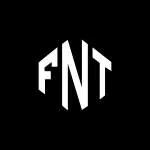 Fnt company logo