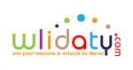Wlidaty company logo