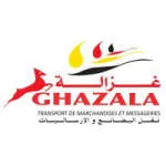 transport messagerie company logo