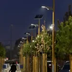 CONSAMAR company logo