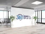 Call Pro Partners company logo
