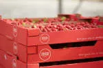 ENTREPRISE AGRICOLE DES FRUITS ROUGES company logo