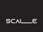 SCALE TEAM company logo
