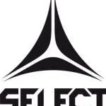 SELECT company logo