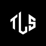 TLS GROUPE company logo