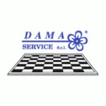 DAMA SERVICES company logo