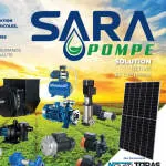 sara pompe company logo