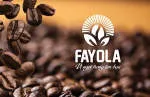 fayoula company logo