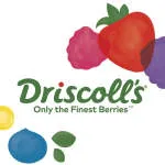 Driscoll's company logo