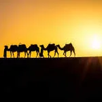 Zonac Travel company logo