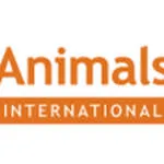animal international services company logo