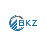 BKZ Conseil INT company logo