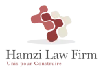 DS HAMZI LAW FIRM company logo