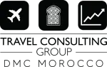 travel consulting group company logo