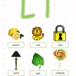 L'immobilier sans frontières company logo