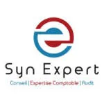 SYN EXPERT company logo