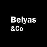 BELYAS & CO company logo