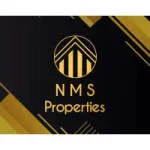 NMS Investment company logo
