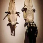 YACOB NETWORK company logo