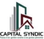 capital syndic company logo