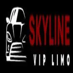 skyline vip immo company logo