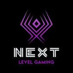 Next Level PC company logo