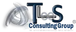 TLS CONSULTING company logo
