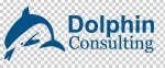 DOLPHIN CONSEIL company logo