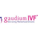 GAUDIUM company logo